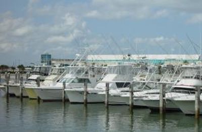 Marine Surveys By Miley Marine Surveying & Consulting, Daytona Beach, Florida - Noel A. Miley, SAMS®  AMS®